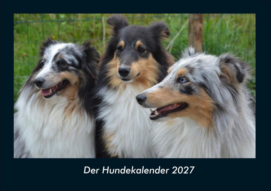 Der Hundekalender 2027 Fotokalender DIN A4 - Tobias Schmitt, Kevin Heber