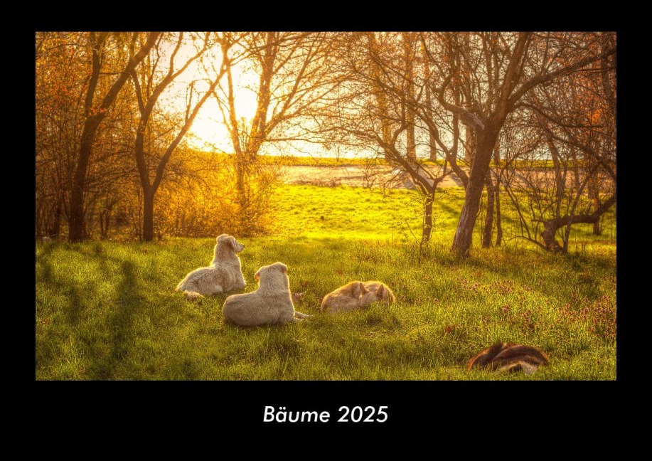 Bäume 2025 Fotokalender DIN A3 - Tobias Becker