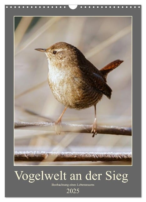 Vogelwelt an der Sieg (Wandkalender 2025 DIN A3 hoch), CALVENDO Monatskalender - D. Irle