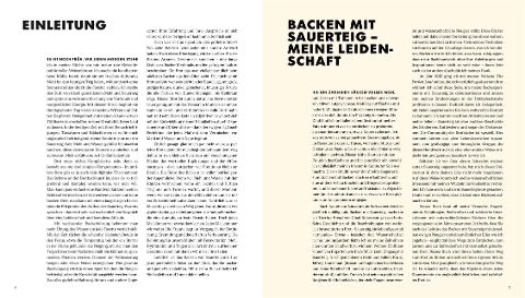 InsideView 2