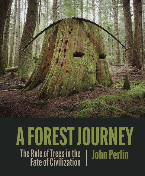 A Forest Journey - John Perlin