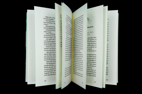 InsideView 1