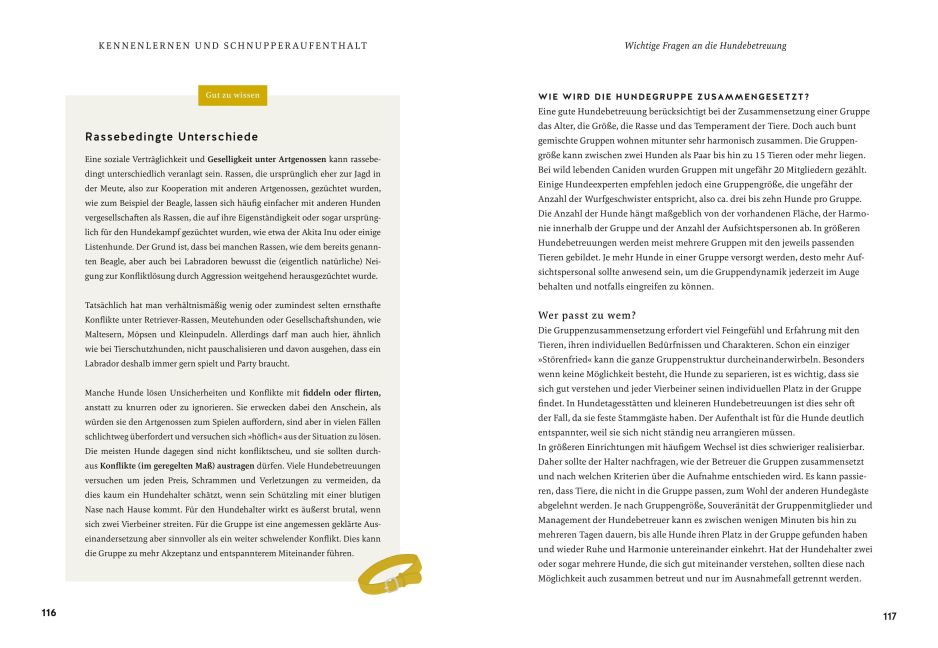 InsideView 6