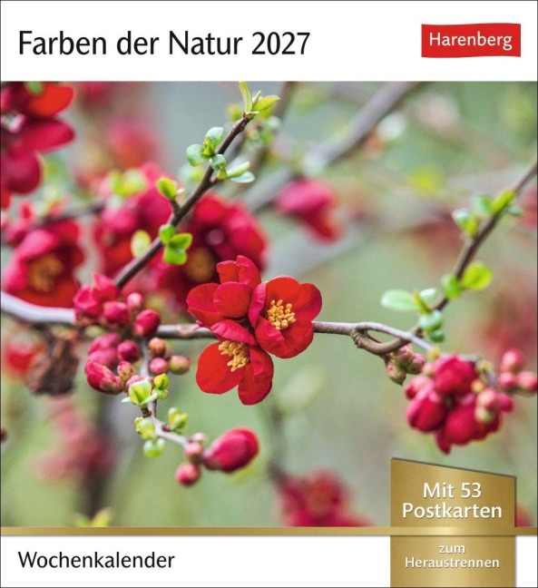 Farben der Natur Postkartenkalender 2027 - Wochenkalender mit 53 Postkarten - 