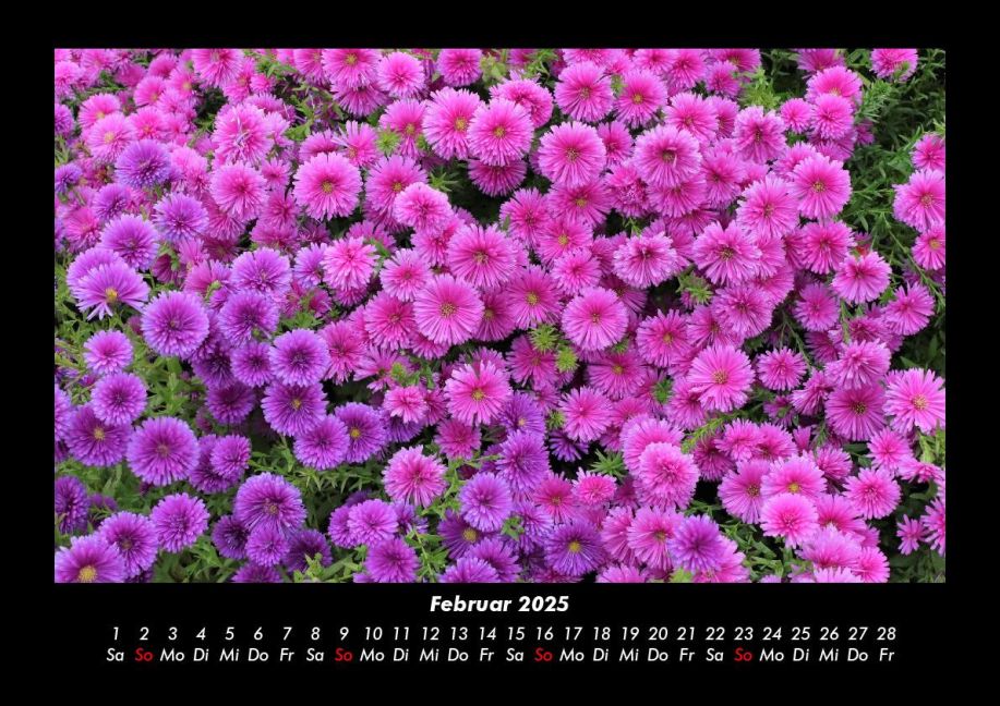 InsideView 6