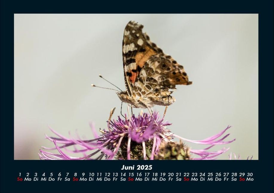 InsideView 10