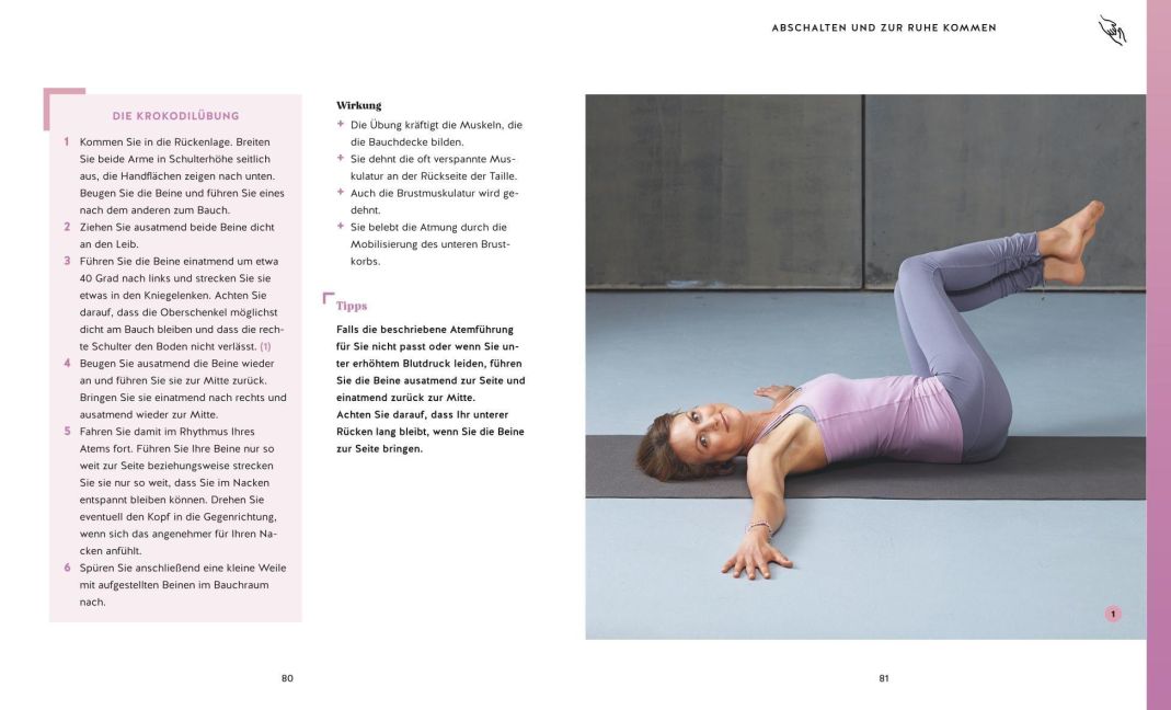 InsideView 6