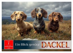 Cover-Bild zum Titel 'Dackel - ein Blick genügt (Wandkalender 2026 DIN A3 quer), CALVENDO Monatskalender' von 'Roder Roder'