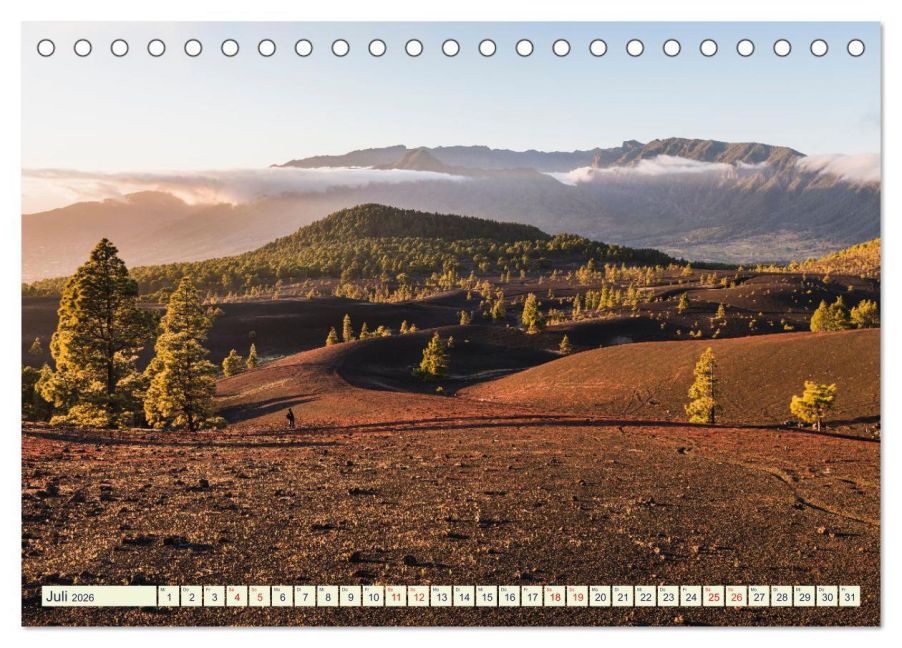 InsideView 12