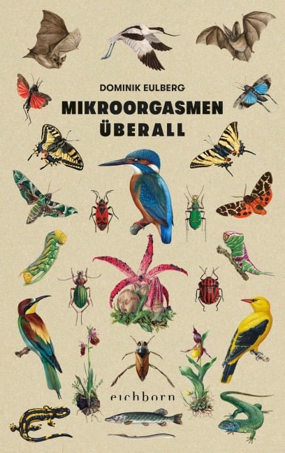 Mikroorgasmen überall - Dominik Eulberg