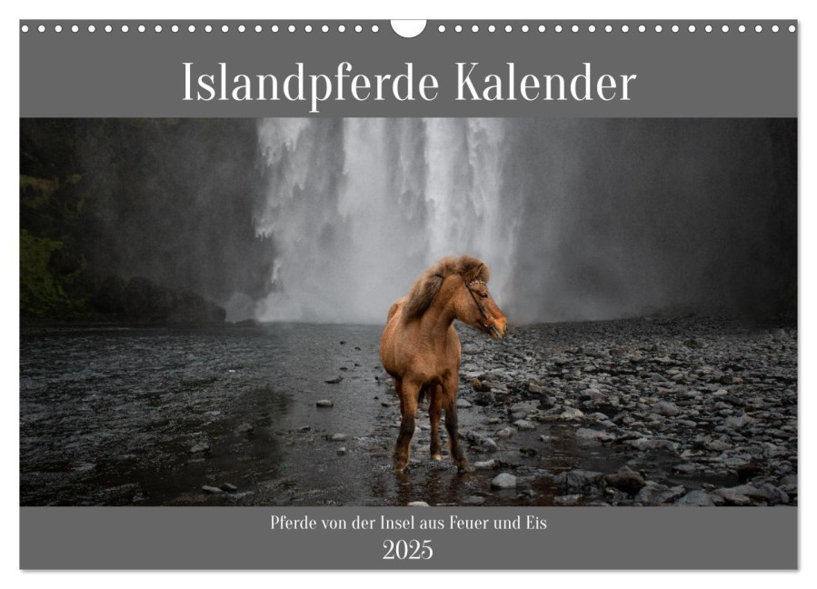 Islandpferde Kalender - Pferde von der Insel aus Feuer und Eis (Wandkalender 2025 DIN A3 quer), CALVENDO Monatskalender - Alexandra Voth