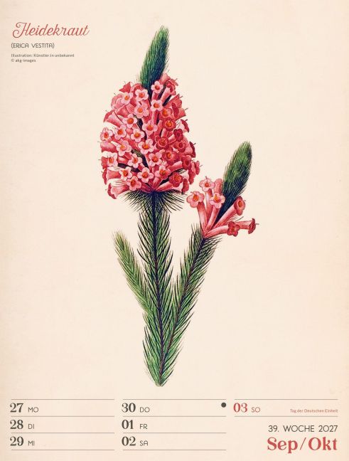 InsideView 43