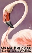 Cover-Bild zum Titel 'Frauen im Sanatorium' von 'Anna Prizkau'
