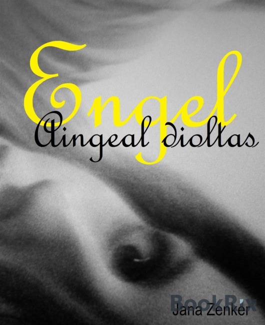 Engel. Die Rache ist mein - Jana Zenker