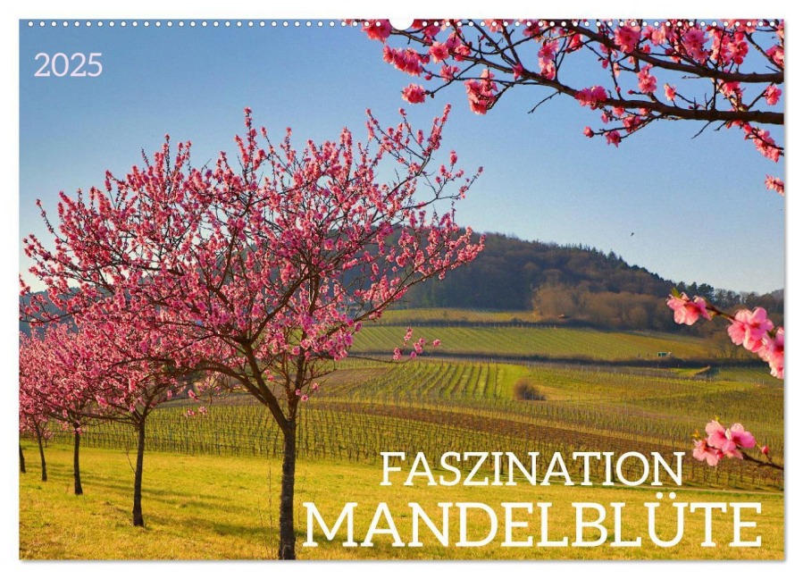 FASZINATION MANDELBLÜTE (Wandkalender 2025 DIN A2 quer), CALVENDO Monatskalender - Sulamay Fillinger