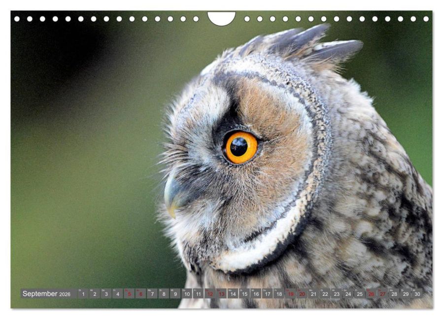 InsideView 14