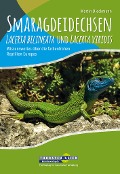 Smaragdeidechsen Lacerta bilineata und Lacerta viridis - Martin Dieckmann