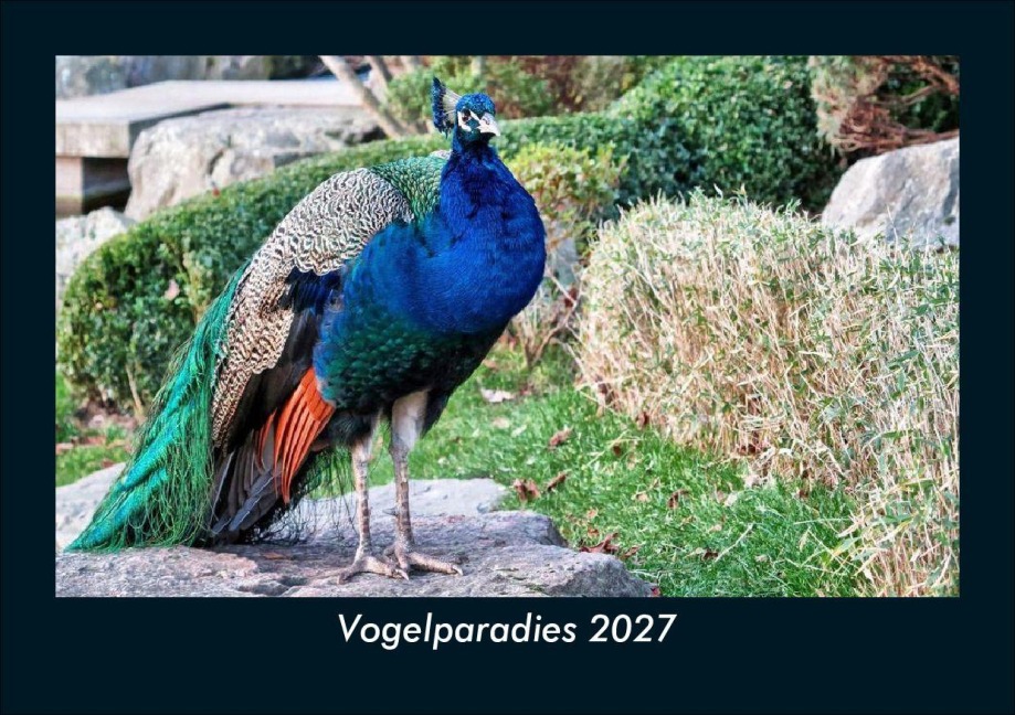 Vogelparadies 2027 Fotokalender DIN A5 - Tobias Schmitt, Kevin Heber