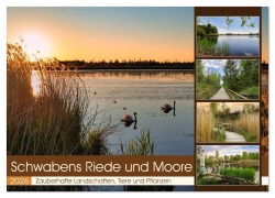 Cover-Bild zum Titel 'Schwabens Riede und Moore (Wandkalender 2026 DIN A3 quer), CALVENDO Monatskalender' von 'Sabine Löwer'