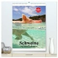 Schweine auf den Bahamas! (hochwertiger Premium Wandkalender 2025 DIN A2 hoch), Kunstdruck in Hochglanz - Elisabeth Stanzer