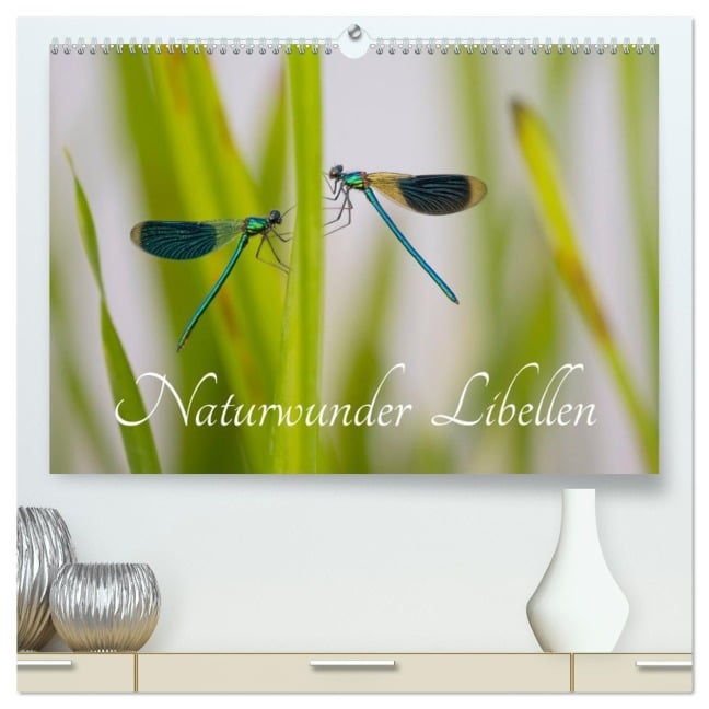 Naturwunder Libellen (hochwertiger Premium Wandkalender 2026 DIN A2 quer), Kunstdruck in Hochglanz - Renee Söhner - Morgensraus