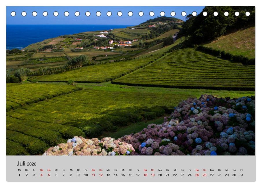 InsideView 12