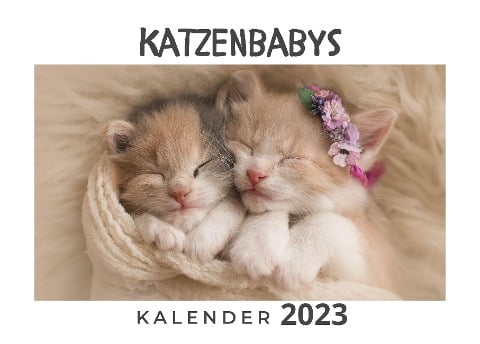 Katzenbabys - Bibi Hübsch