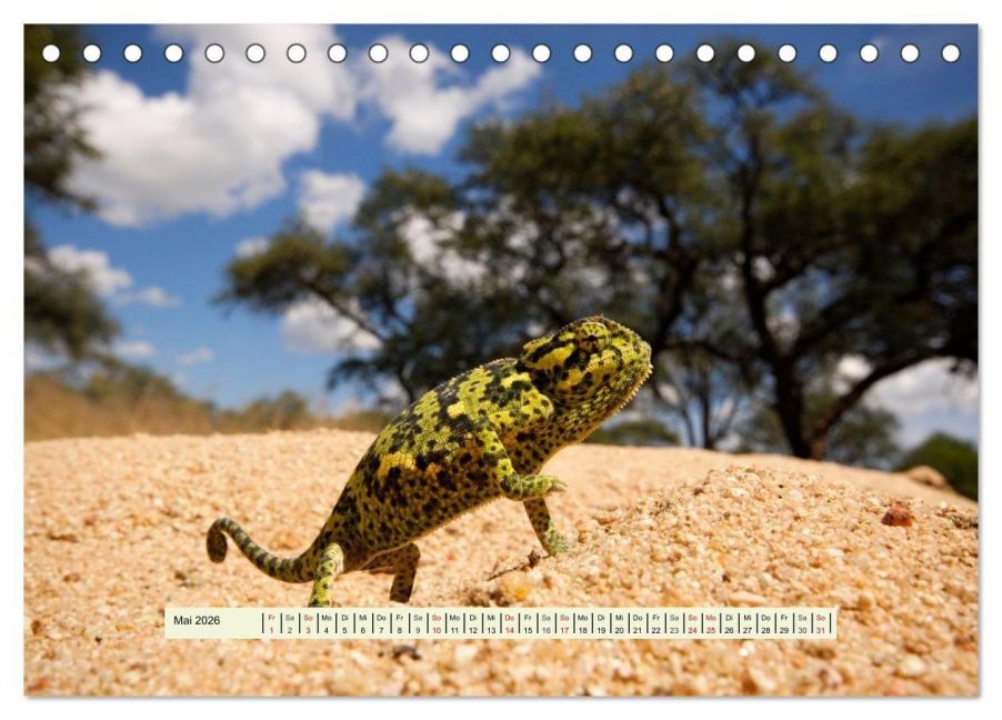 InsideView 10