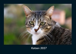 Cover-Bild zum Titel 'Katzen 2027 Fotokalender DIN A4' von 'Tobias Schmitt, Kevin Heber'