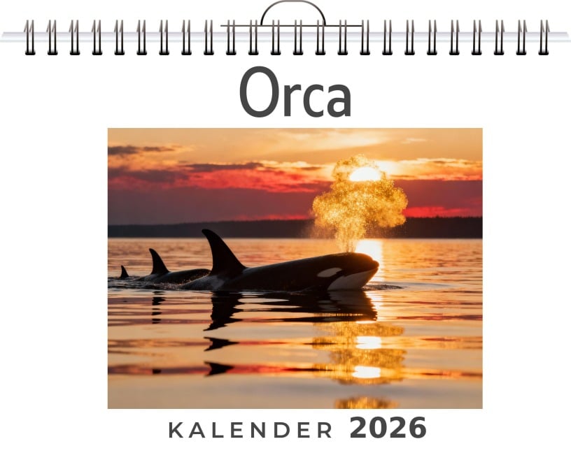 Orca - Paul Schmidt