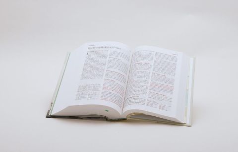 InsideView 3