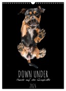 Cover-Bild zum Titel 'Down Under - Hunde auf der Glasplatte (Wandkalender 2026 DIN A3 hoch), CALVENDO Monatskalender' von 'Silke Gareis'
