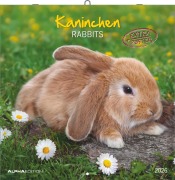 Kaninchen 2026 - Broschürenkalender 30x30 cm (30x60 geöffnet) - Kalender mit Platz für Notizen - Rabbits - Bildkalender - Wandplaner - Wandkalender - 