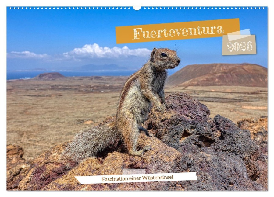 Fuerteventura - Faszination einer Wüsteninsel (Wandkalender 2026 DIN A2 quer), CALVENDO Monatskalender - Peter Balan