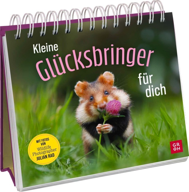 Kleine Glücksbringer für dich - Julian Rad
