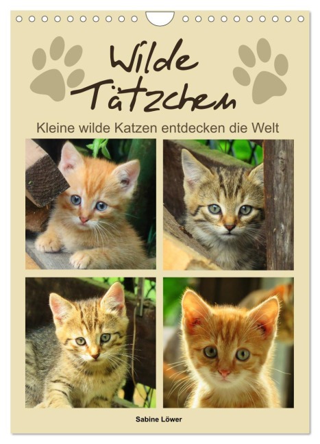 Wilde Tätzchen, kleine wilde Katzen entdecken die Welt (Wandkalender 2026 DIN A4 hoch), CALVENDO Monatskalender - Sabine Löwer