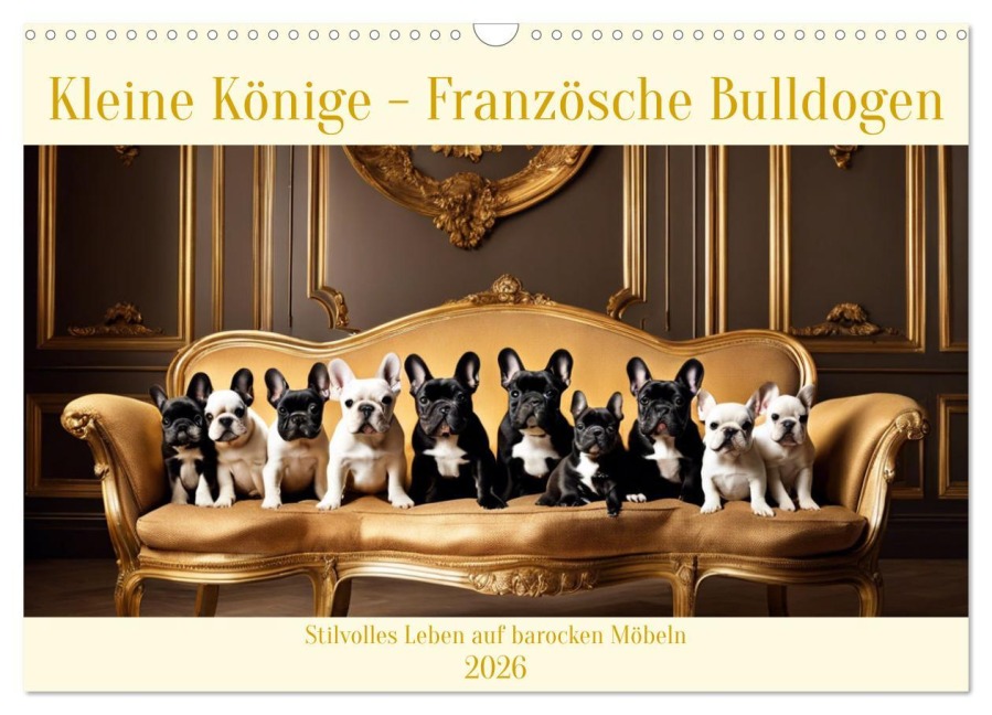 Kleine Könige - Französische Bulldoggen (Wandkalender 2026 DIN A3 quer), CALVENDO Monatskalender - Claudia Kleemann