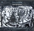Cover-Bild zum Titel 'Stillsturm' von 'Jonas Hemmersbach'