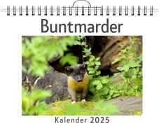 Cover-Bild zum Titel 'Buntmarder' von 'Lina Schmitt'