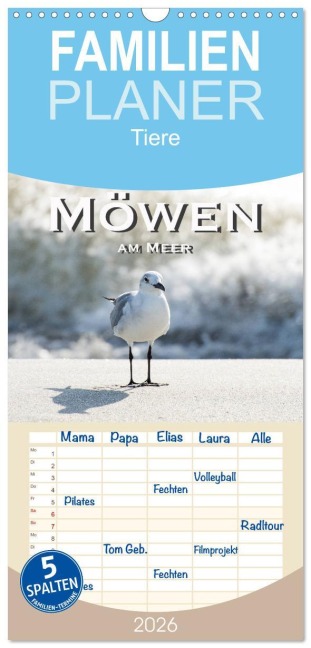 Familienplaner 2026 - Möwen am Meer mit 5 Spalten (Wandkalender, 21 x 45 cm) CALVENDO - Robert Styppa