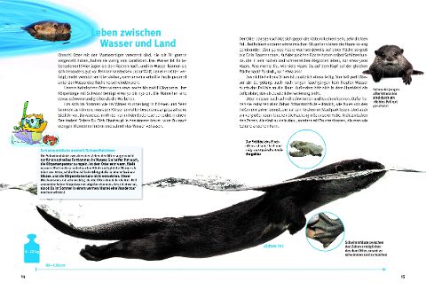 InsideView 5