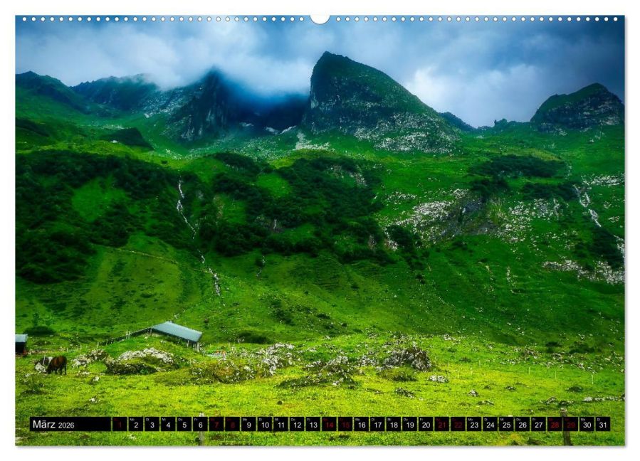 InsideView 7
