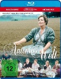 Cover-Bild zum Titel 'Antonias Welt' von 'Marleen Gorris, Ilona Sekacz'