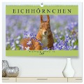 Eichhörnchen im Königlichen Garten (hochwertiger Premium Wandkalender 2025 DIN A2 quer), Kunstdruck in Hochglanz - Margret Brackhan