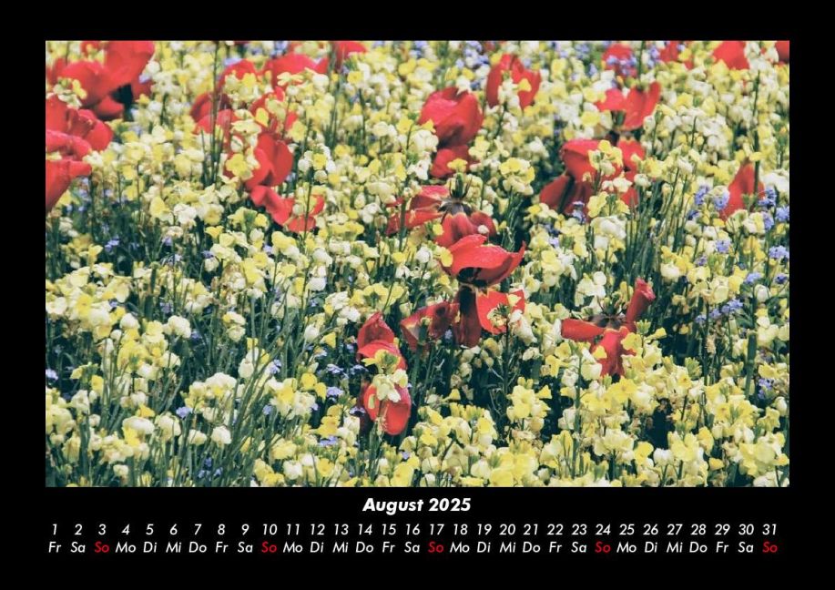 InsideView 12