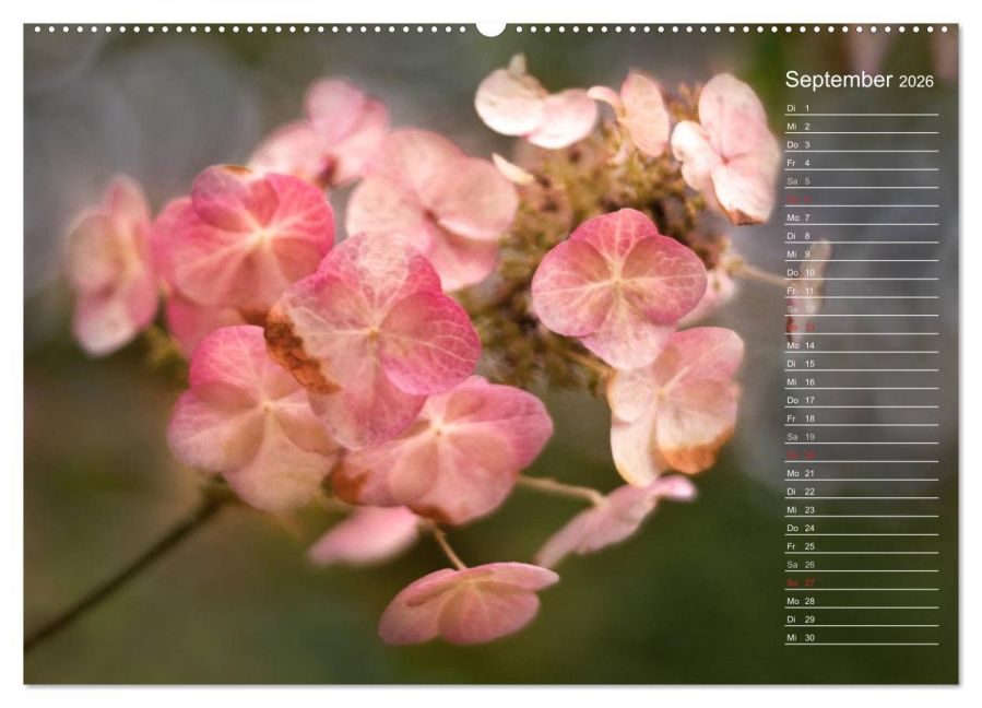 InsideView 13