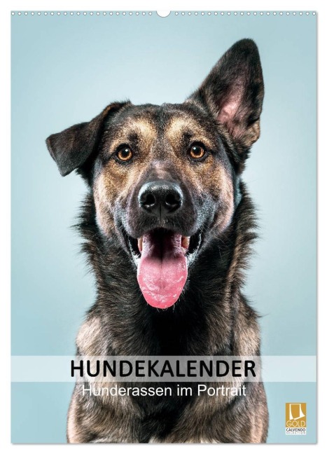 Hundekalender - Hunderassen im Portrait (Wandkalender 2026 DIN A2 hoch), CALVENDO Monatskalender - HIGHLIGHT. photo Maxi Sängerlaub