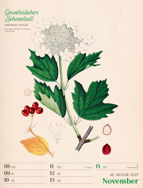 InsideView 49