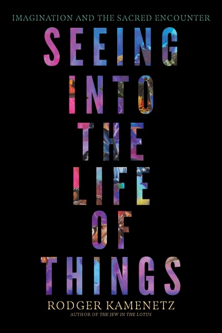 Seeing into the Life of Things - Rodger Kamenetz