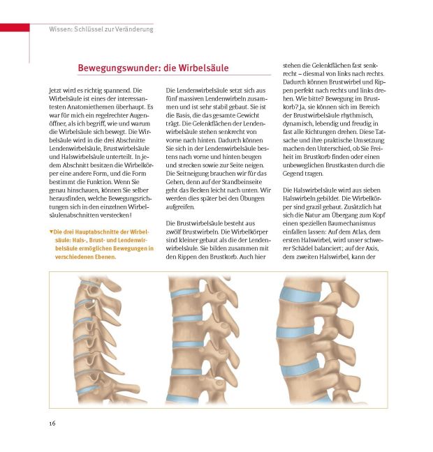 InsideView 15